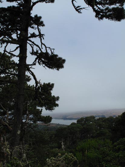 sm (01) 090716 Tomales.jpg - Views across Tomales Bay as you descend the Jepson Trail from the trailhead parking lot on Pierce Pt. Road.